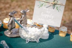 Bridal Portraits Little Rock Arkansas