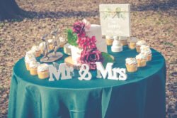 Bridal Portraits Little Rock Arkansas